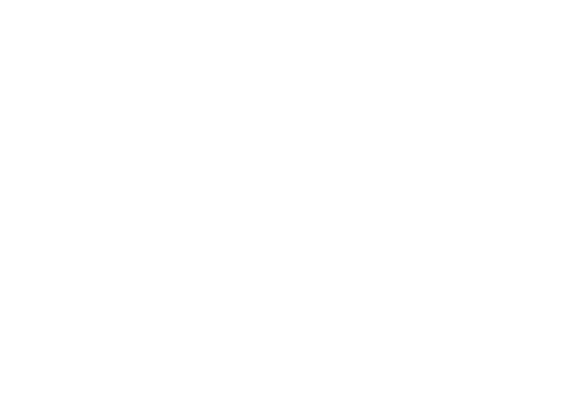 Webschop_icarus