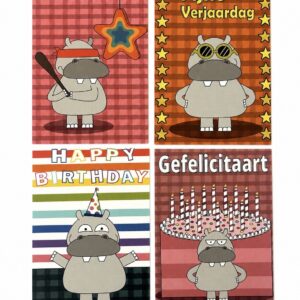 Hippo party collectie - originele verjaardagskaarten